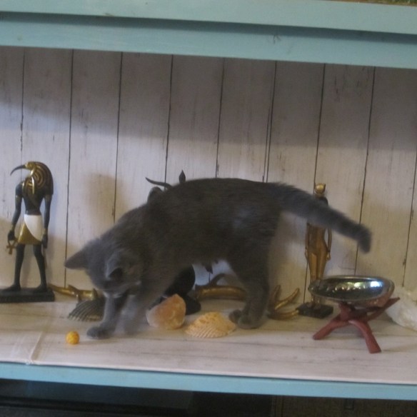 chasin cheeseball alter feb 2020