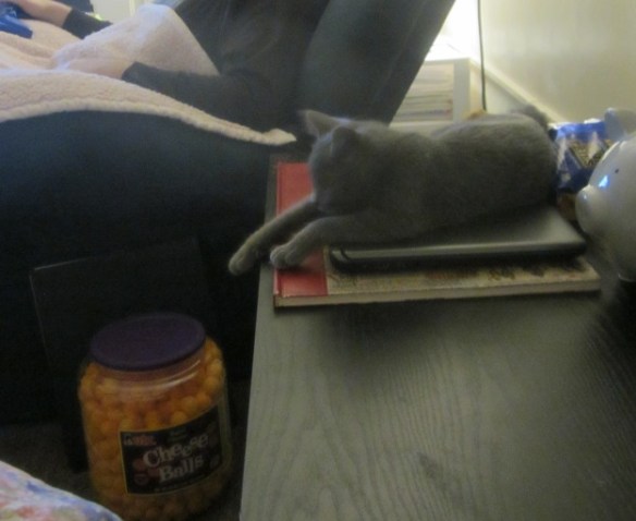 toby cheeseball dreaming2