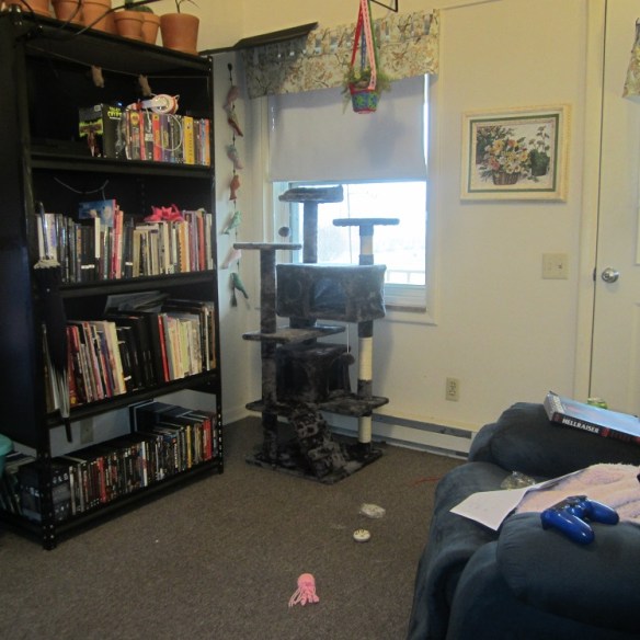 toby towers finished feb 6